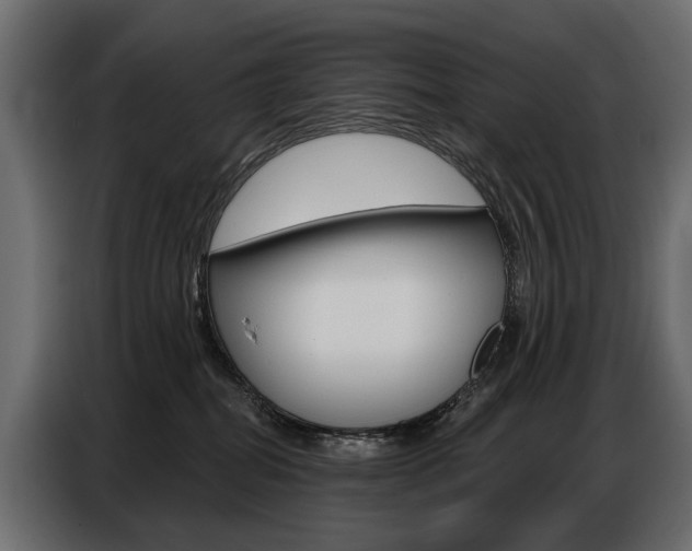 X0000086800282200704130907