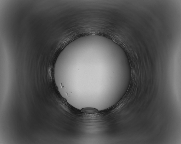 X0000086800286200704130907