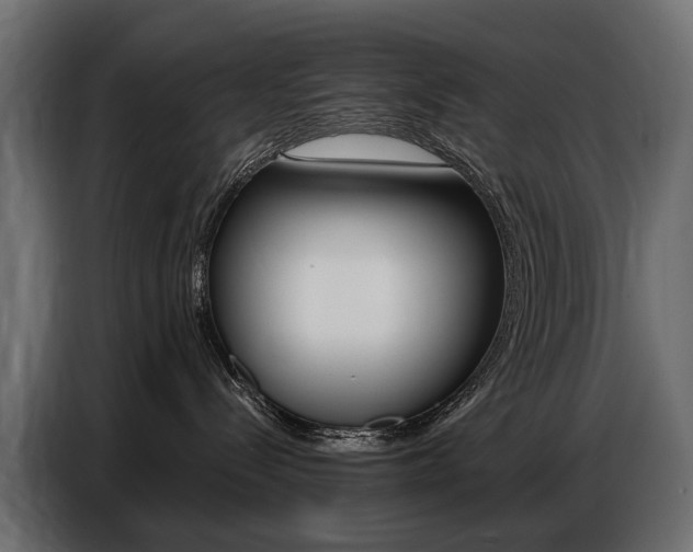 X0000086800288200704130907