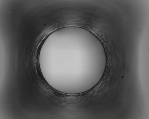 X0000086800290200704130906