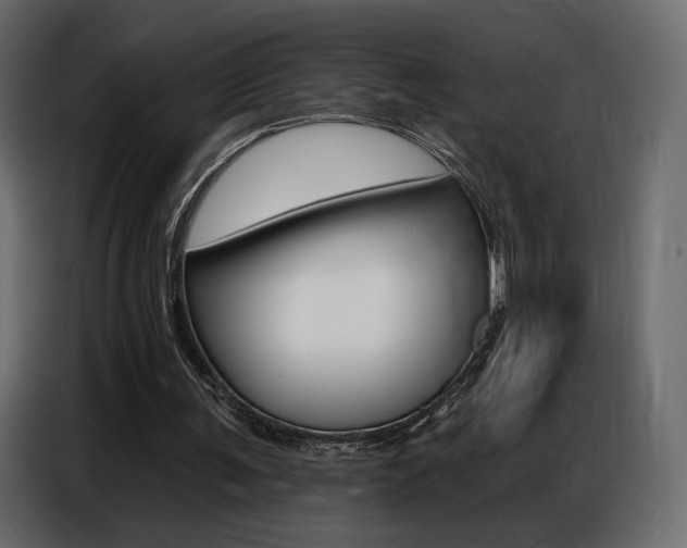 X0000086800291200704130906