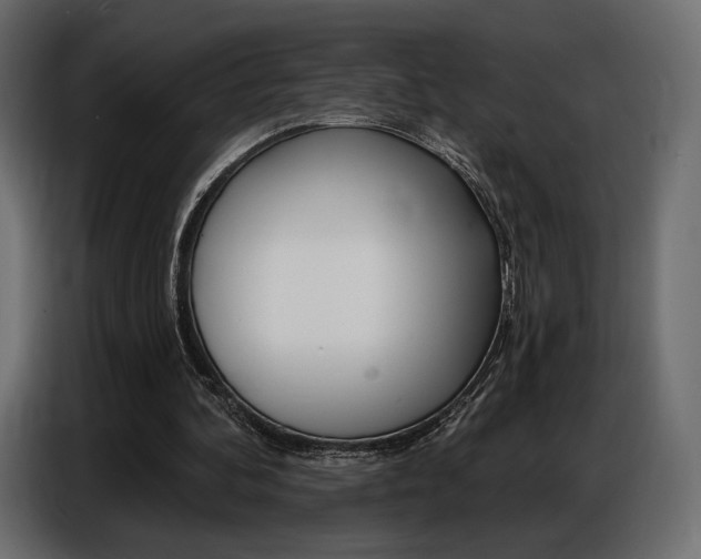 X0000086800292200704130906