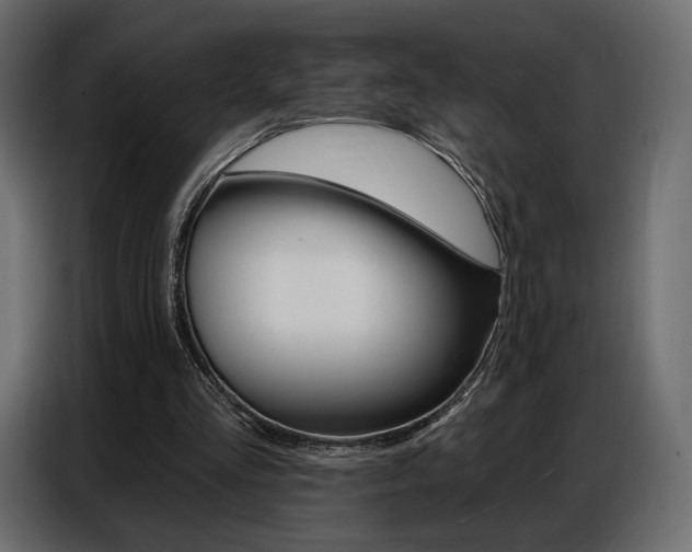 X0000086800293200704130906
