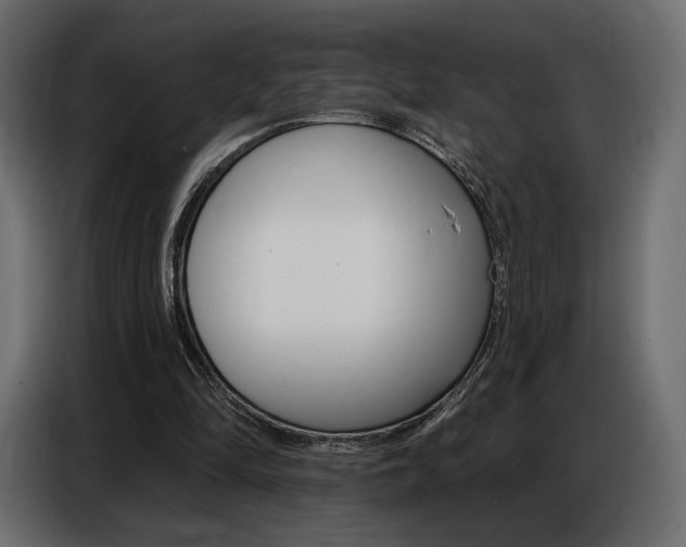 X0000086800294200704130906