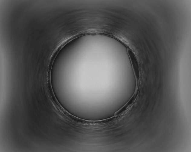 X0000086800297200704130906