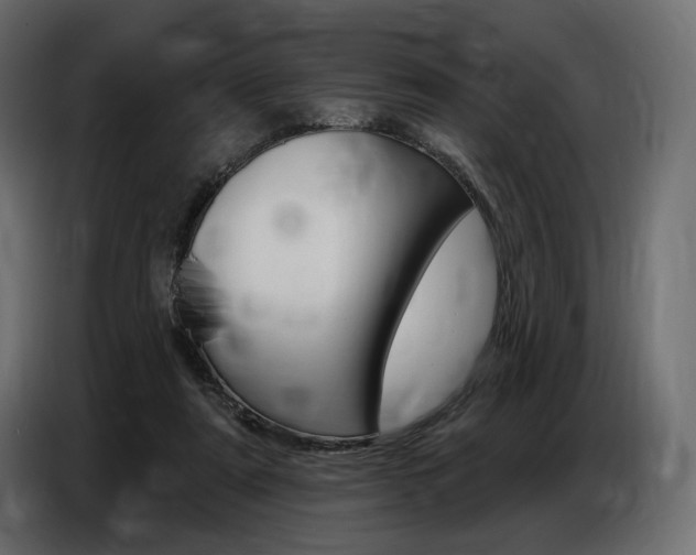 X0000086800307200704130906
