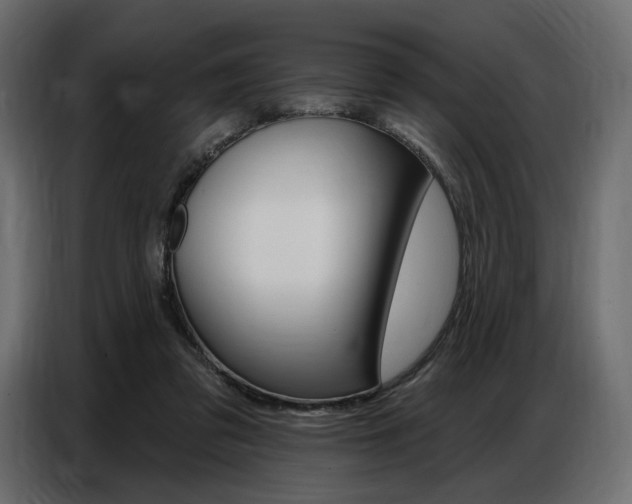 X0000086800309200704130906