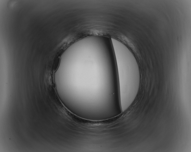 X0000086800313200704130906