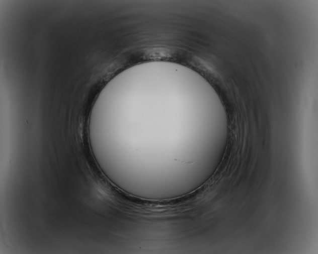 X0000086800315200704130906