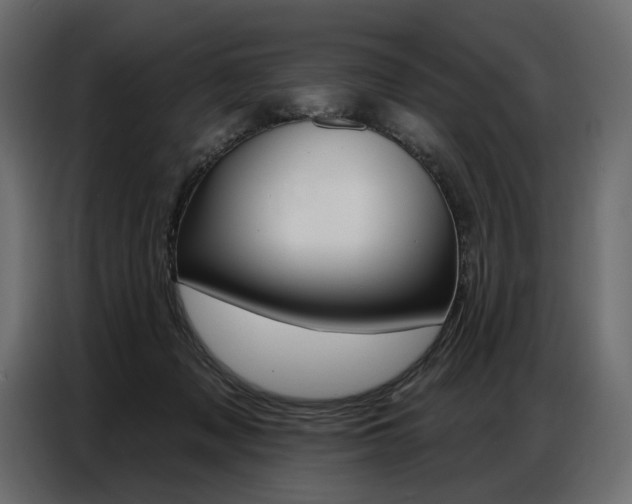 X0000086800317200704130906