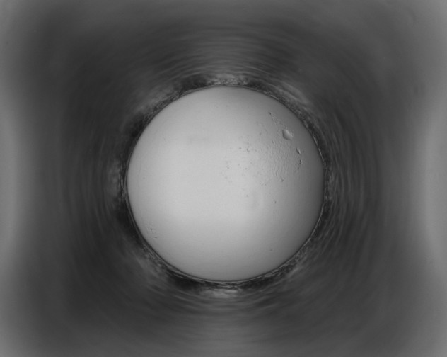 X0000086800318200704130906