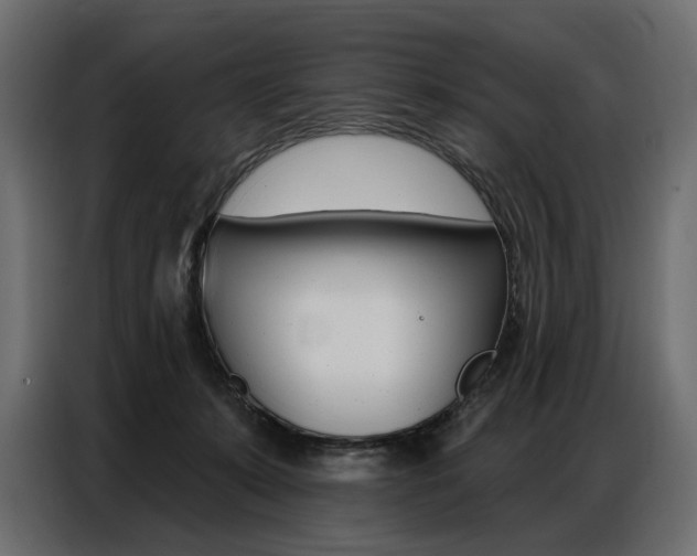 X0000086800319200704130906