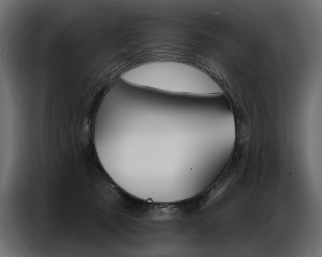 X0000086800321200704130906