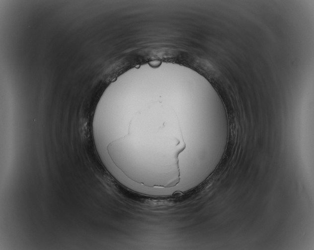 X0000086800327200704130906