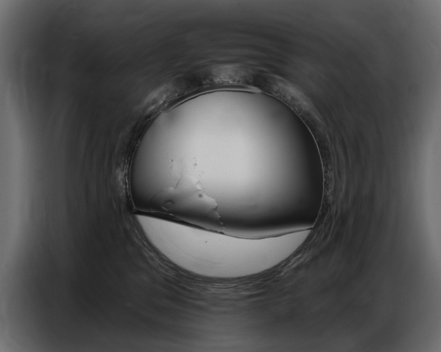 X0000086800329200704130906