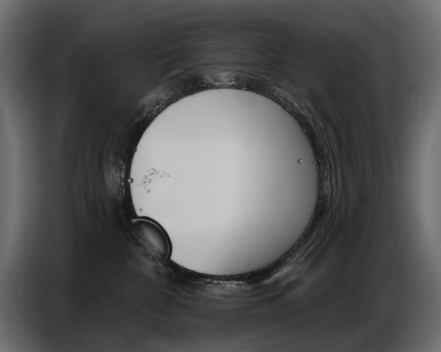X0000086800332200704130906
