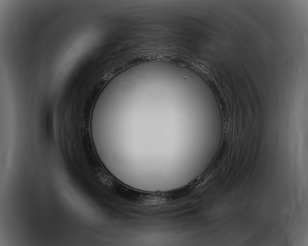 X0000086800335200704130906