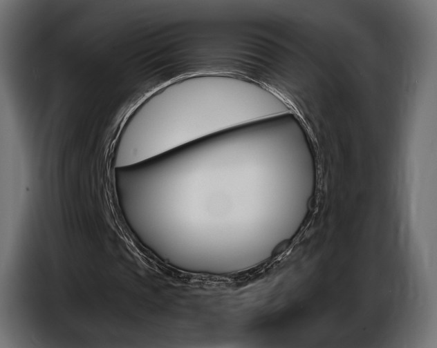 X0000086800337200704130905