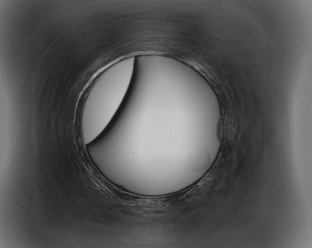 X0000086800338200704130905