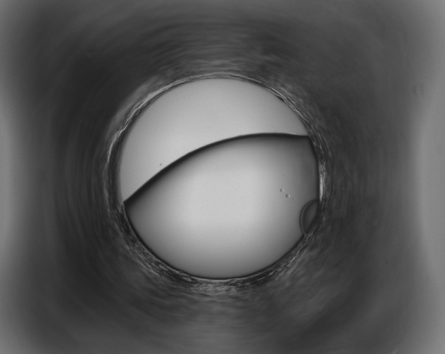 X0000086800339200704130905