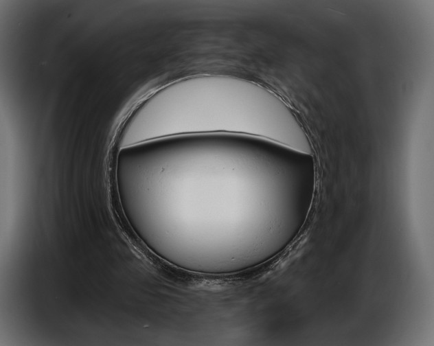 X0000086800341200704130905