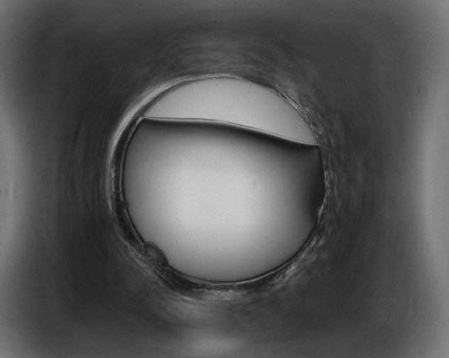 X0000086800342200704130905