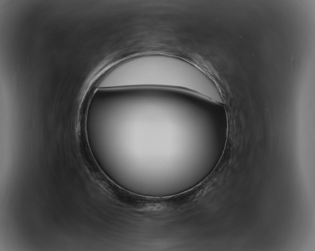 X0000086800344200704130905