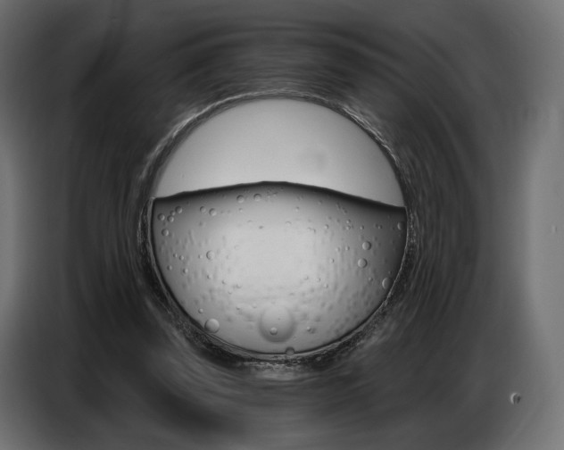 X0000086800347200704130905