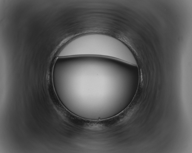 X0000086800348200704130905