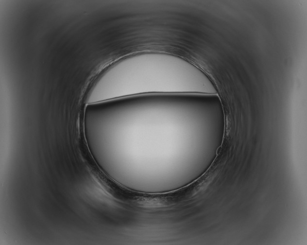 X0000086800349200704130905