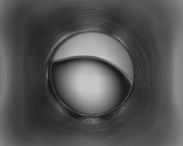 X0000086800350200704130905