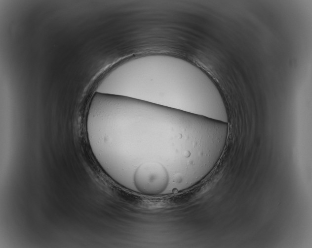 X0000086800351200704130905
