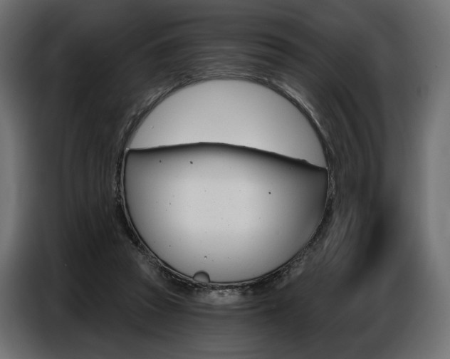 X0000086800353200704130905