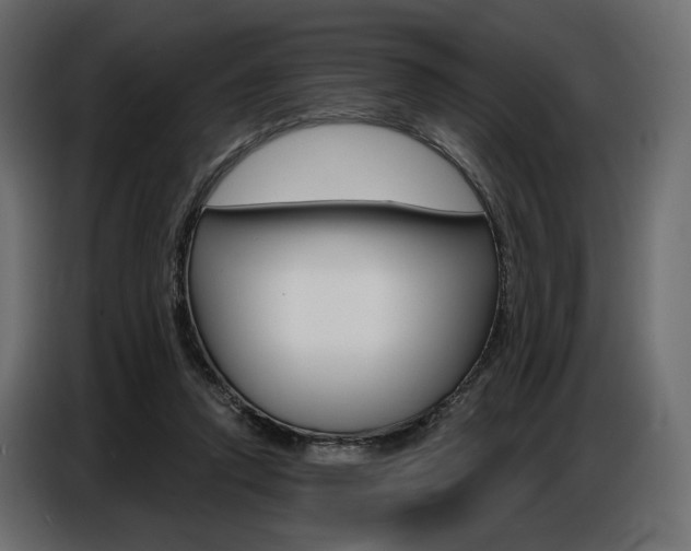 X0000086800354200704130905
