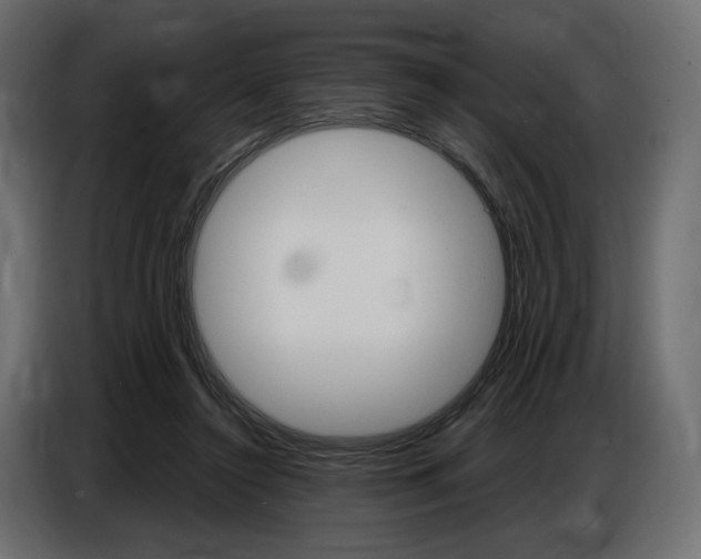X0000086800356200704130905