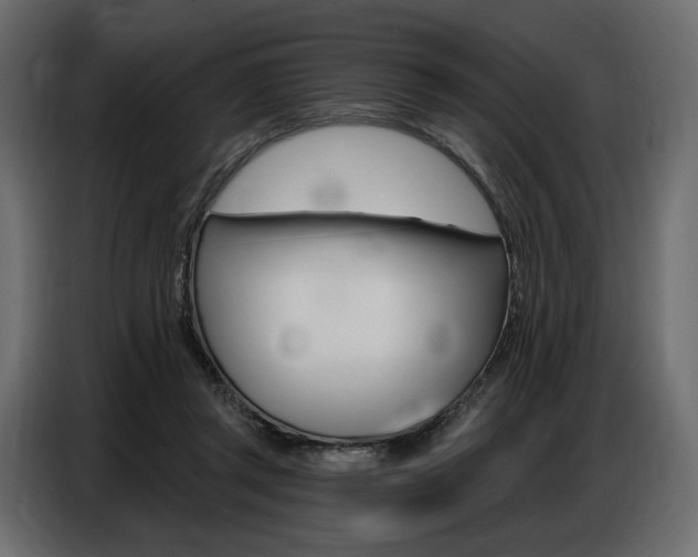 X0000086800357200704130905