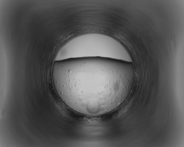 X0000086800359200704130905