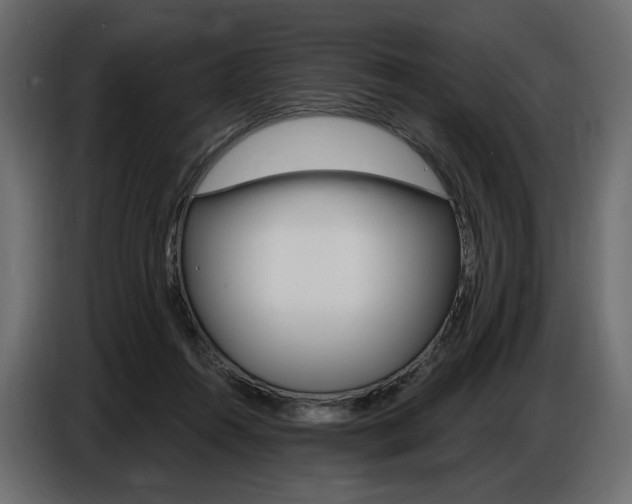 X0000086800360200704130905