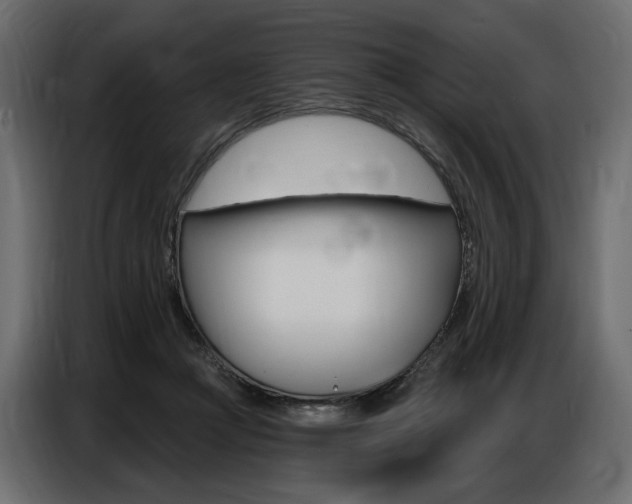 X0000086800361200704130905