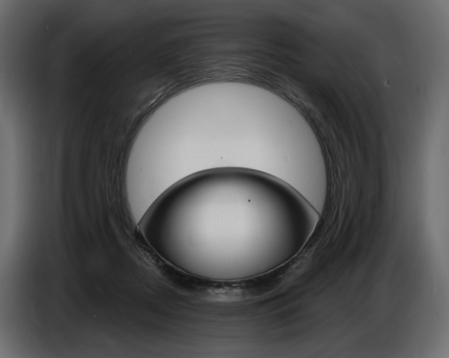 X0000086800362200704130905