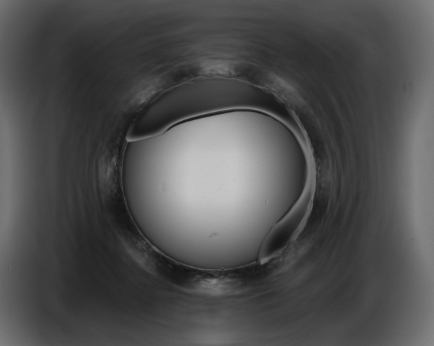 X0000086800364200704130905