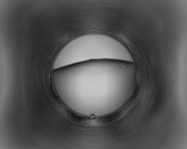 X0000086800365200704130905