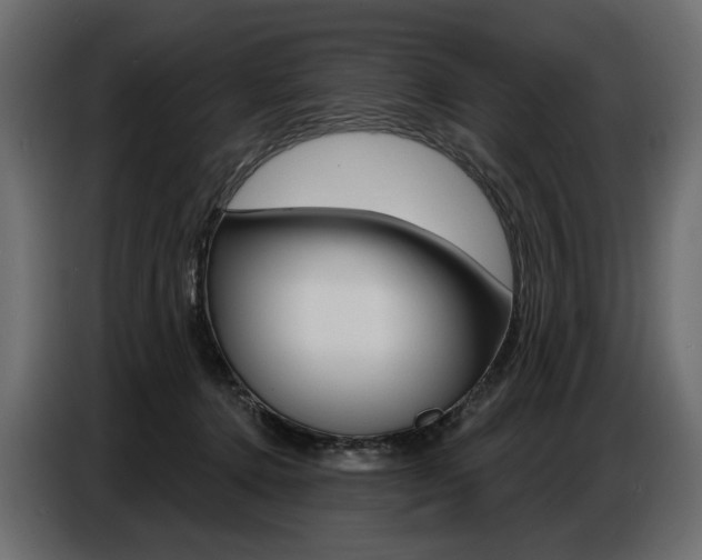 X0000086800368200704130905
