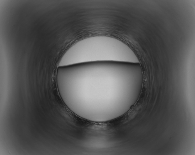 X0000086800369200704130905