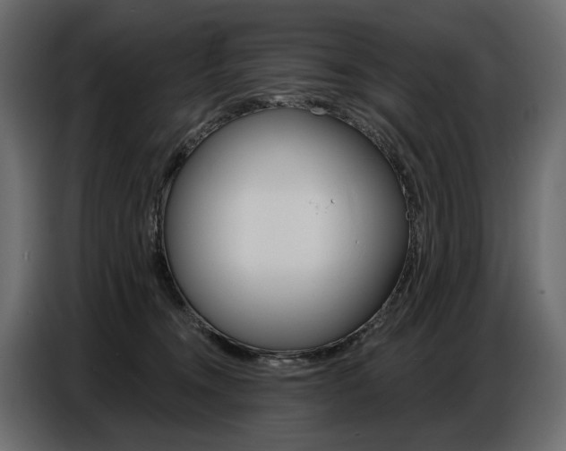 X0000086800372200704130906