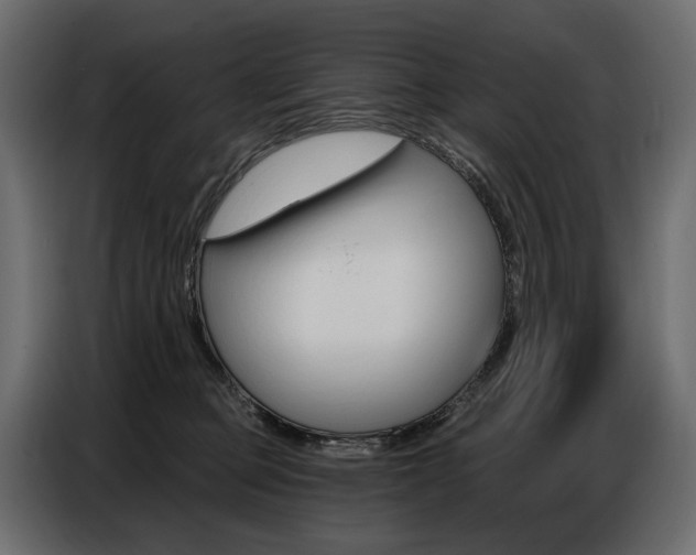 X0000086800373200704130906