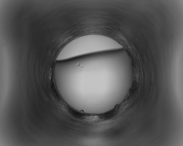 X0000086800374200704130906
