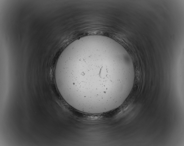 X0000086800375200704130906