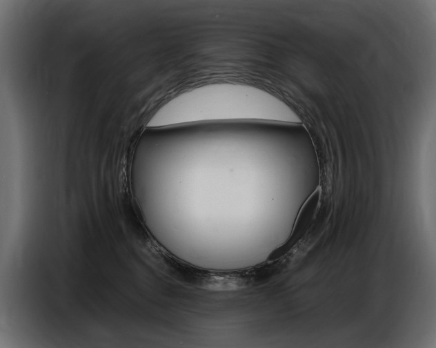 X0000086800376200704130906