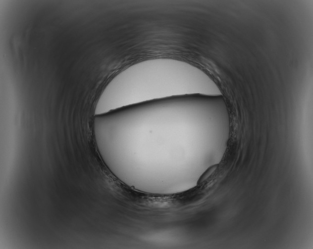 X0000086800377200704130906